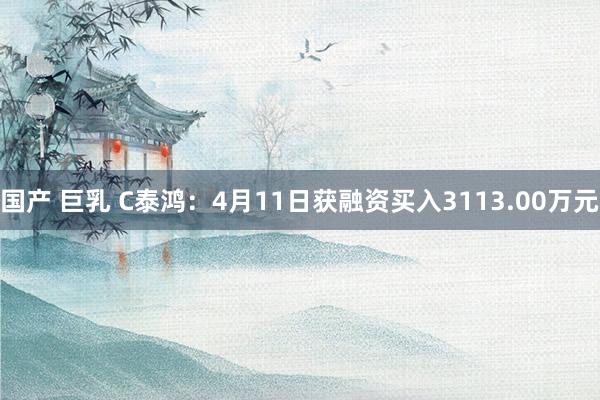 国产 巨乳 C泰鸿：4月11日获融资买入3113.00万元