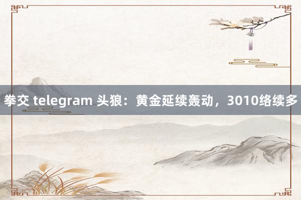 拳交 telegram 头狼：黄金延续轰动，3010络续多