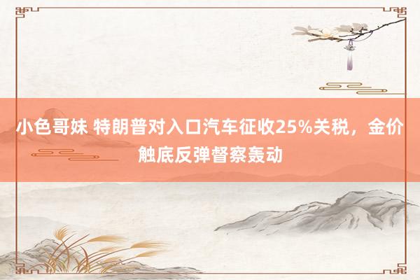 小色哥妹 特朗普对入口汽车征收25%关税，金价触底反弹督察轰动