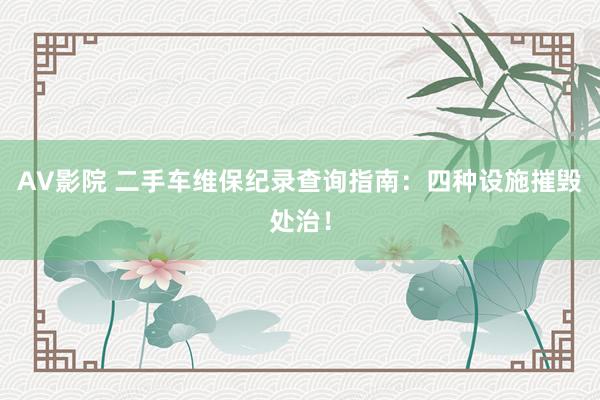 AV影院 二手车维保纪录查询指南：四种设施摧毁处治！