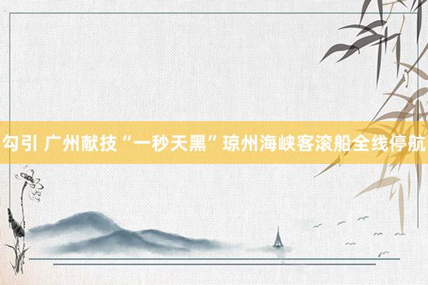勾引 广州献技“一秒天黑”琼州海峡客滚船全线停航