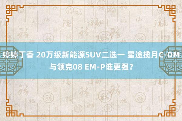 婷婷丁香 20万级新能源SUV二选一 星途揽月C-DM与领克08 EM-P谁更强？