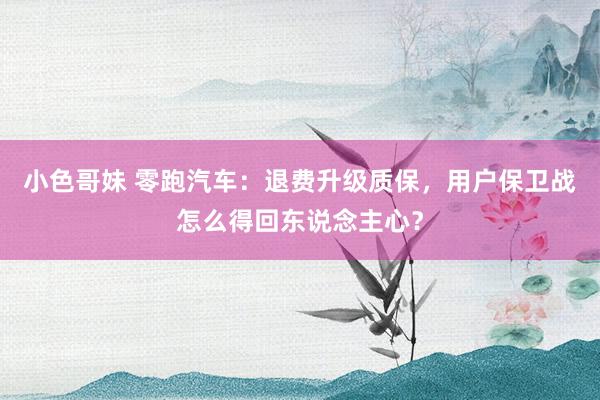 小色哥妹 零跑汽车：退费升级质保，用户保卫战怎么得回东说念主心？