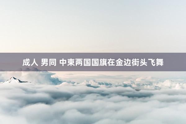 成人 男同 中柬两国国旗在金边街头飞舞