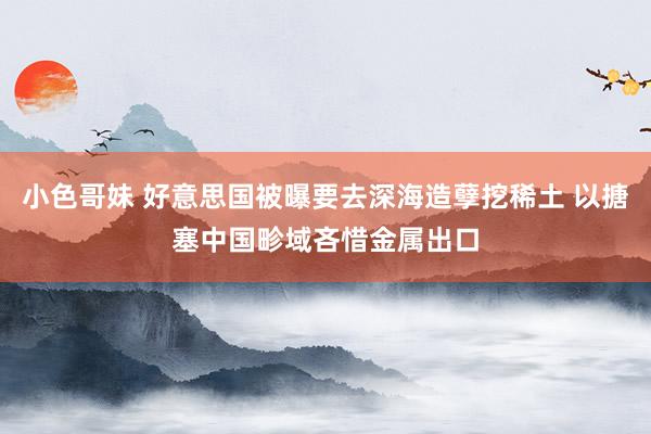 小色哥妹 好意思国被曝要去深海造孽挖稀土 以搪塞中国畛域吝惜金属出口