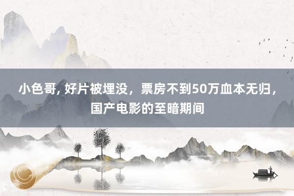 小色哥， 好片被埋没，票房不到50万血本无归，国产电影的至暗期间