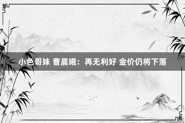 小色哥妹 曹晨曦：再无利好 金价仍将下落