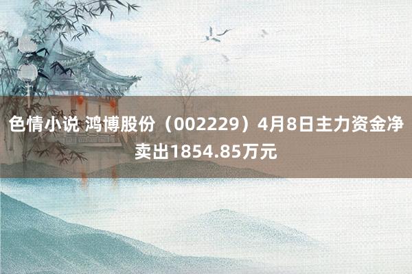 色情小说 鸿博股份（002229）4月8日主力资金净卖出1854.85万元