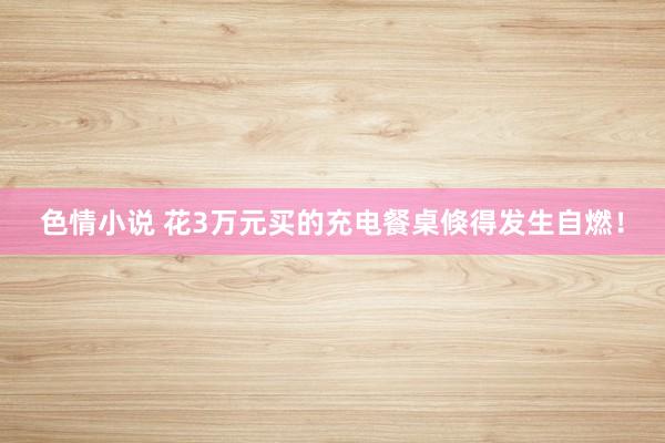 色情小说 花3万元买的充电餐桌倏得发生自燃！