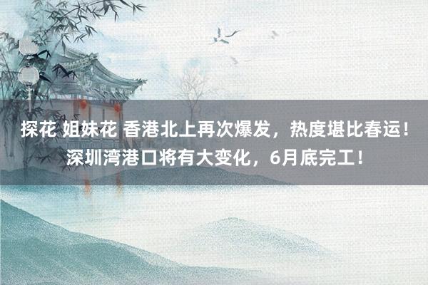 探花 姐妹花 香港北上再次爆发，热度堪比春运！深圳湾港口将有大变化，6月底完工！