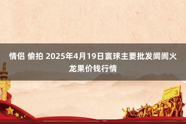 情侣 偷拍 2025年4月19日寰球主要批发阛阓火龙果价钱行情