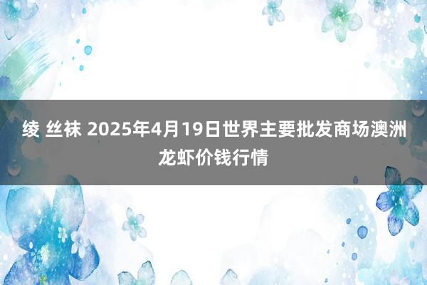绫 丝袜 2025年4月19日世界主要批发商场澳洲龙虾价钱行情