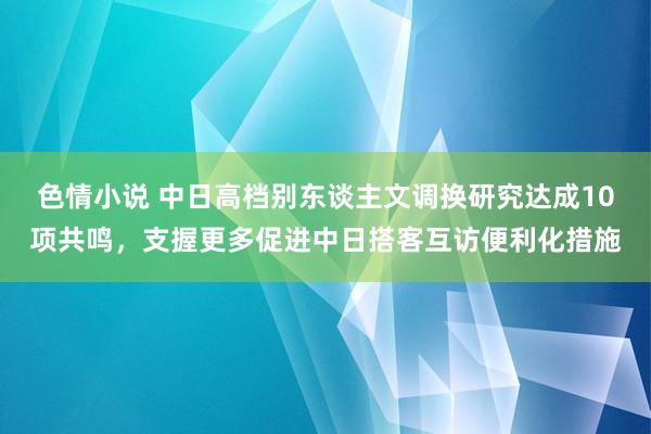 色情小说 中日高档别东谈主文调换研究达成10项共鸣，支握更多促进中日搭客互访便利化措施