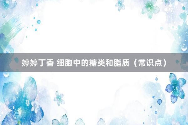 婷婷丁香 细胞中的糖类和脂质（常识点）