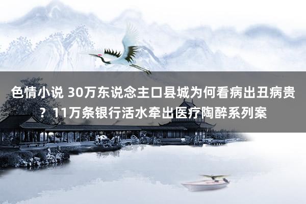 色情小说 30万东说念主口县城为何看病出丑病贵？11万条银行活水牵出医疗陶醉系列案