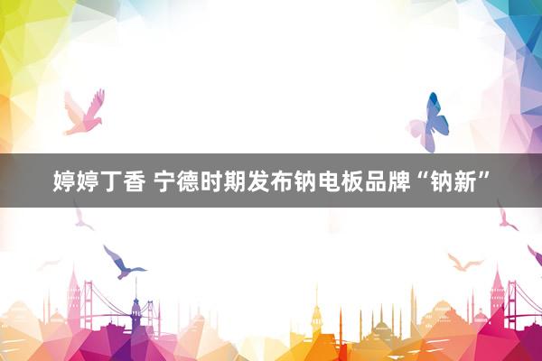 婷婷丁香 宁德时期发布钠电板品牌“钠新”