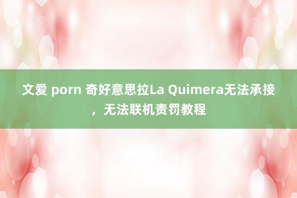 文爱 porn 奇好意思拉La Quimera无法承接，无法联机责罚教程