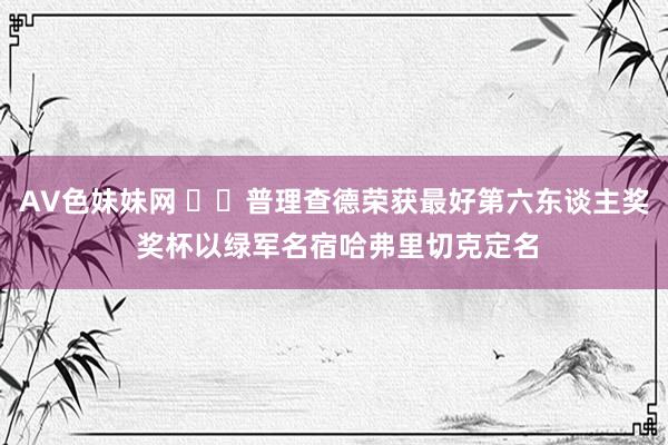 AV色妹妹网 ☘️普理查德荣获最好第六东谈主奖 奖杯以绿军名宿哈弗里切克定名