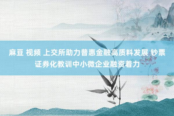 麻豆 视频 上交所助力普惠金融高质料发展 钞票证券化教训中小微企业融资着力