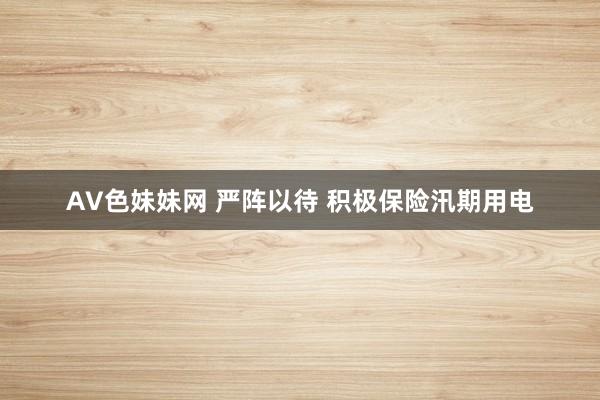 AV色妹妹网 严阵以待 积极保险汛期用电