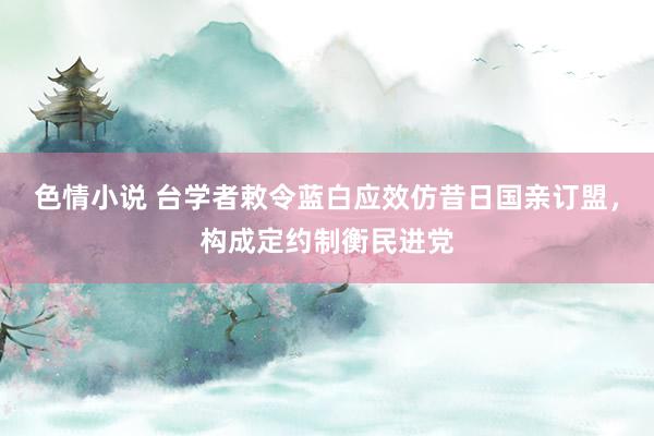 色情小说 台学者敕令蓝白应效仿昔日国亲订盟，构成定约制衡民进党