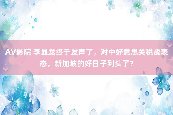 AV影院 李显龙终于发声了，对中好意思关税战表态，新加坡的好日子到头了？